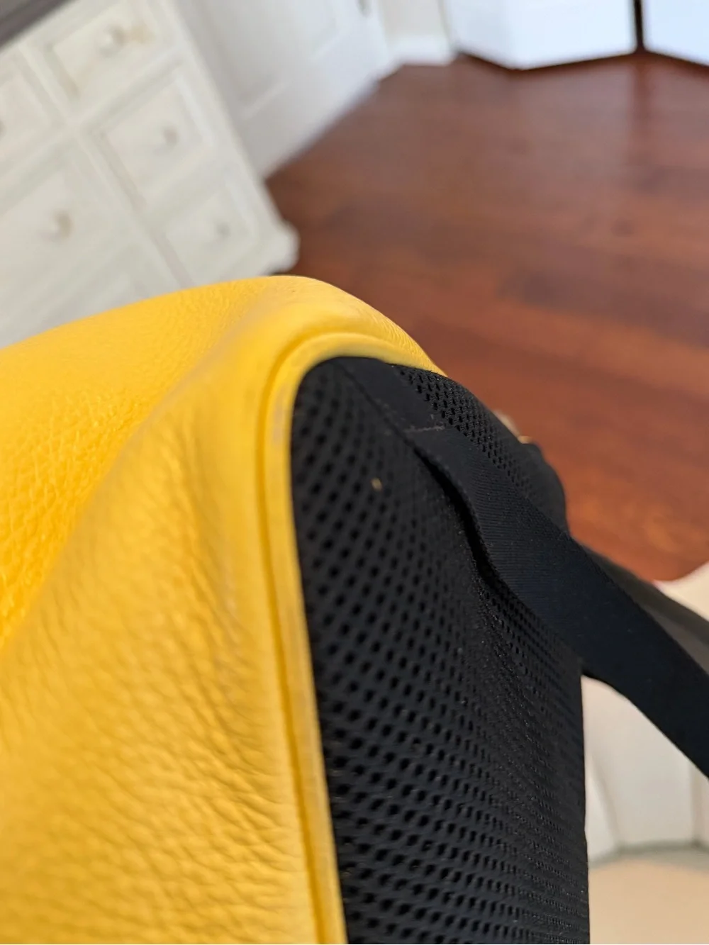Butter Yellow Coach Backpack and Pouch
